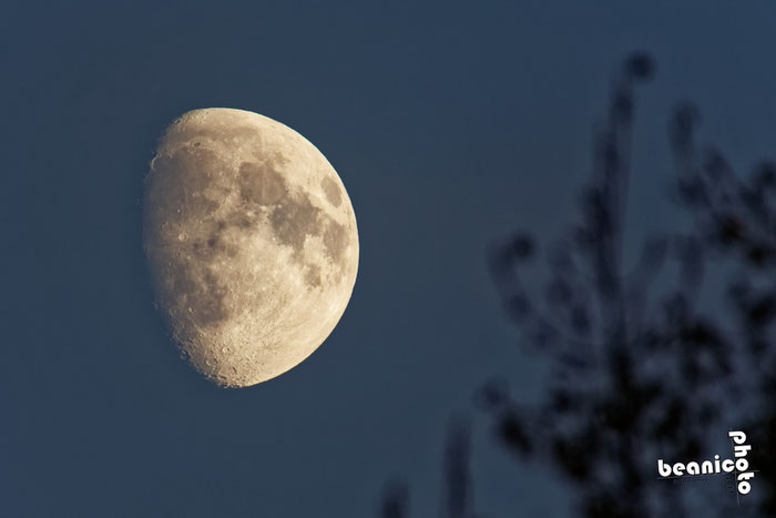 Eclipse de Lune - 27 juillet 2018 - 27/07/18 - www.beanico-photo.fr