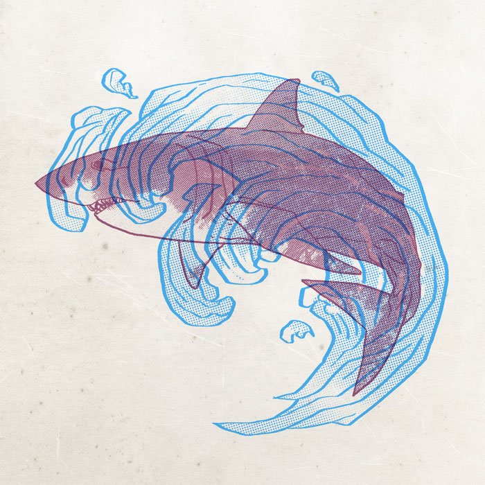 halftone animal shark drawing digital trame dessin mayvig maylis vigouroux