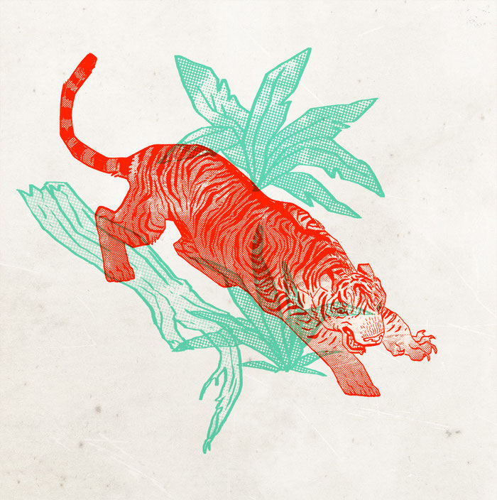 halftone animal tiger drawing digital trame dessin mayvig maylis vigouroux