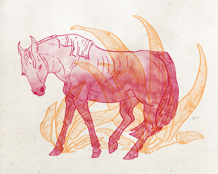 halftone animal horse drawing digital trame dessin mayvig maylis vigouroux