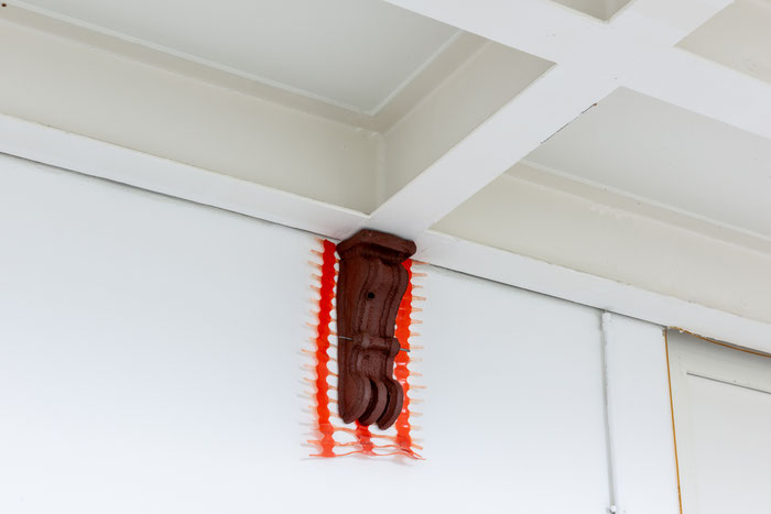 Nils Peisker, Barbara Posch, Bokyoung Jeong, Frida Kato