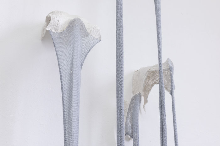 Nils Peisker, Barbara Posch, Bokyoung Jeong, Frida Kato