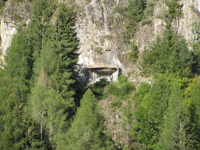 SWISS ARMY BUNKER