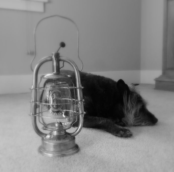 Frohlich & Wolter Kerosene Lantern Nr. 520 with embossed dog on globe