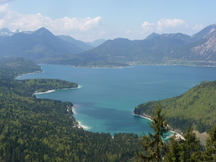 Türkisfarbener Walchensee, Blick ueber den See mit Bergen und Baeumen bem Wandern