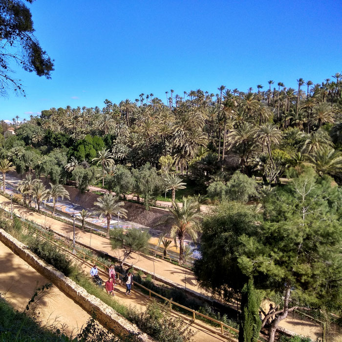 El Palmeral de Elche
