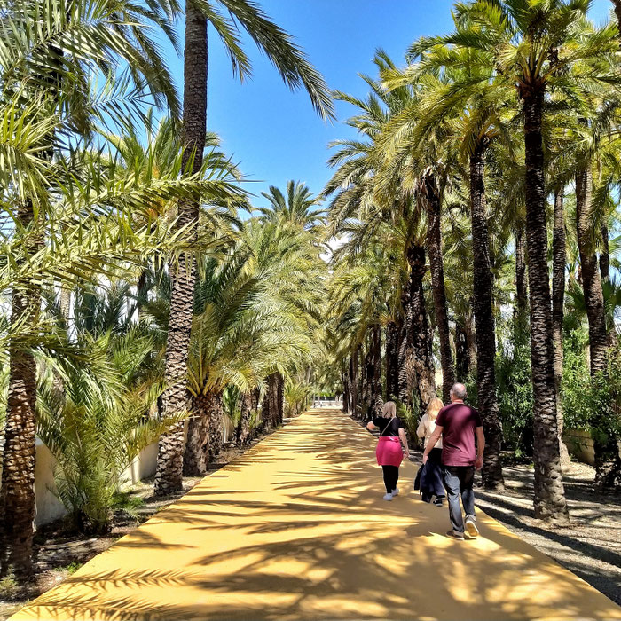 Un agradable paseo por la Ruta de El Palmeral