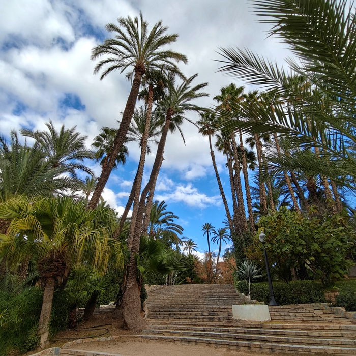 Hort de Baix