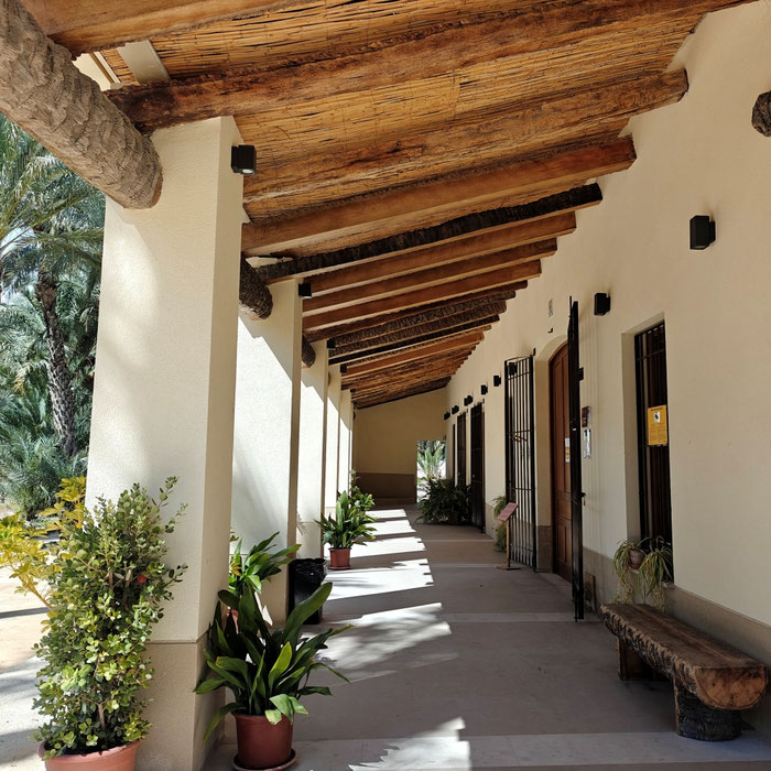 Porchada y detalle del techo