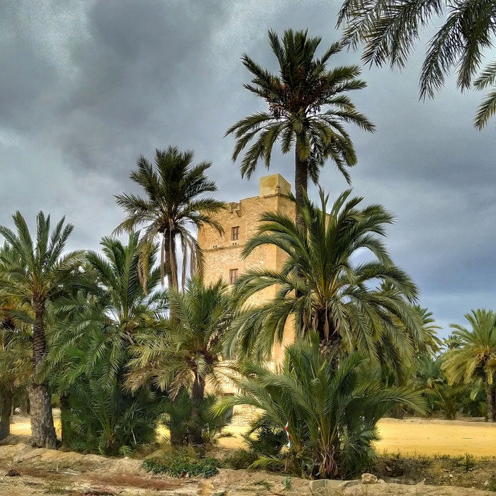 La Torre de Vaillo resaltando entre las palmeras