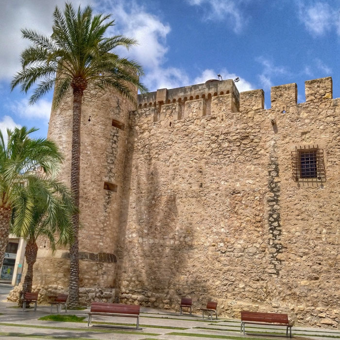 Vista de uno de los laterales del Palacio de Altamira