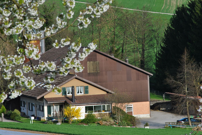 Kürbis im Sunnehof, Herbst