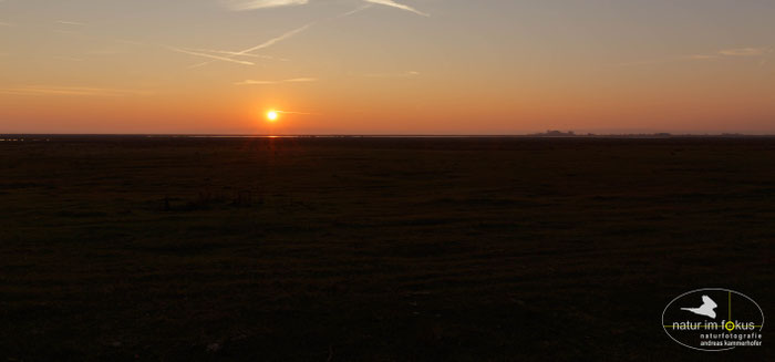 Sonnenuntergang am Neusiedler See