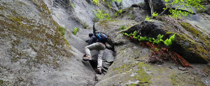 Starke Stiege, Wandern in der Sächsischen Schweiz