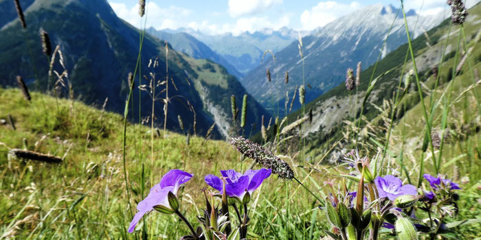 E5 Alpenüberquerung Oberstdorf Meran
