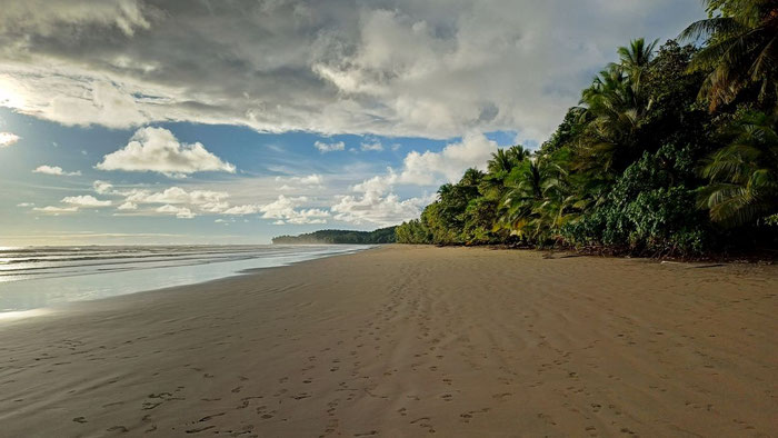 Playa Uvita Costa Rica 2 Wochen Route