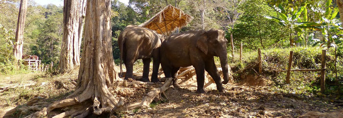 Tipps Backpacking Thailand 3 Wochen