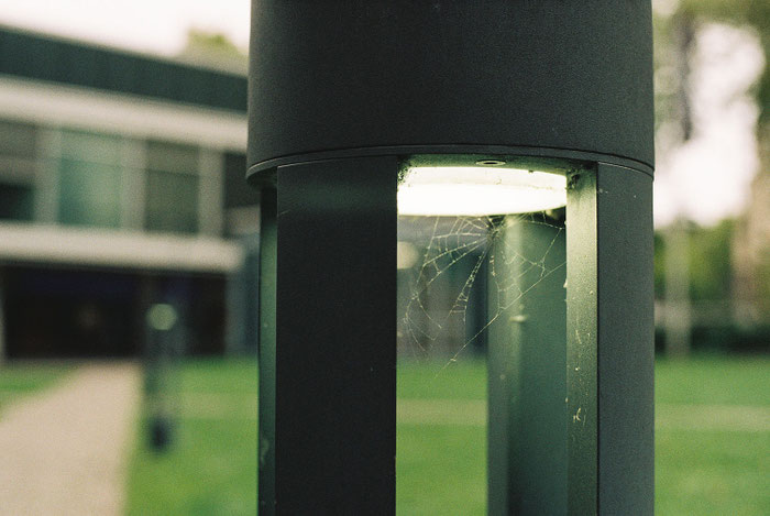 Nahaufnahme Spinnennetz in einer Wegeleuchte mit sanftem Bokeh, Voigtländer Color-Ultron 1.8/50mm an VSL1 TM auf Kodacolor 200. Foto: bonnescape.de