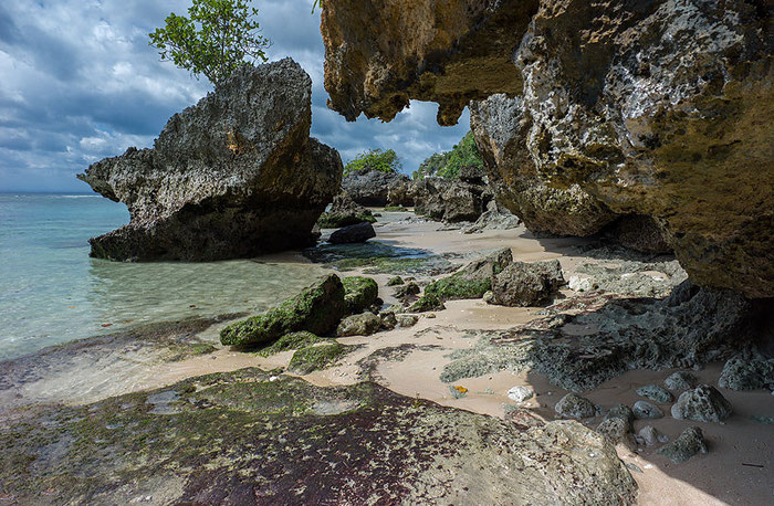 Paypoqdagi vaginalarning porno fotosuratlari, it uslubi