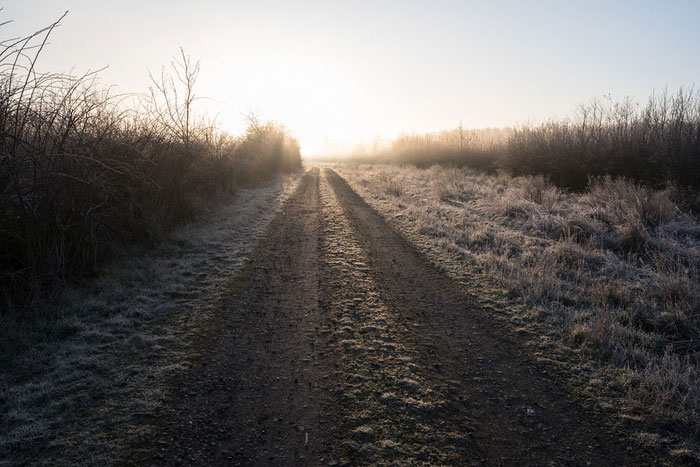 Wirtschaftsweg im Naturschutzgebiet Steinheide. Aufnahme mit Nikon Z7 und Z 14-30mm 1:4,0 S. Copyright 2023 by Dr. Klaus Schoerner, www.bonnescape.de