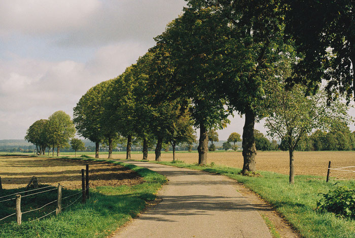 Landschaftsfotografie mit Retro-Look. Voigtländer Color-Ultron 1.8/50 mm an der VSL1 TM auf Kodacolor 200. Foto: bonnescape.de