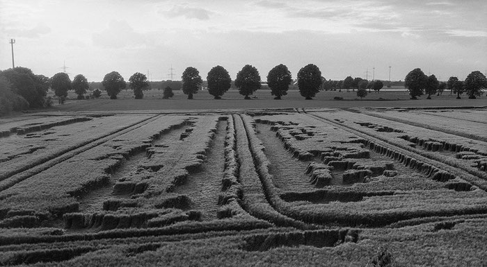 Getreidefeld nach dem Sturm, Köln, Aufnahme auf KENTMERE PAN 200, Entwicklung in Perceptol. Foto: Klaus Schörner