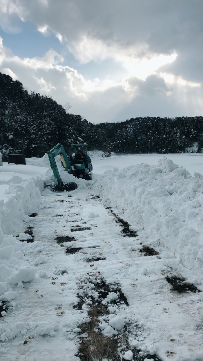 #丹後 #雪景色