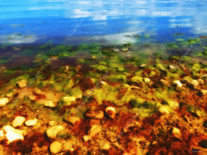 Wasser, Algen und Steine am Strand