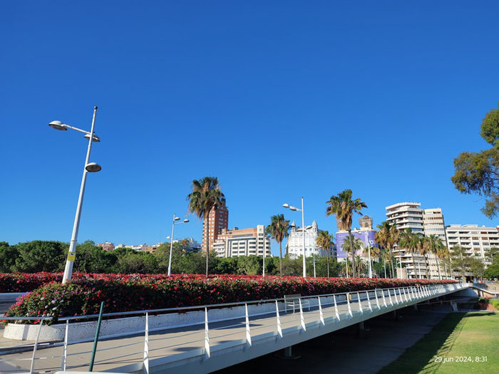 Antes Puente de las Flores "hoy de Doña Rita Barberá" alcaldesa de Valencia durante muchos años y muy querida por los valencianos. Cruza el Jardín del Turia uniendo el Paseo de  la Alameda con  la Plaza de América. 
