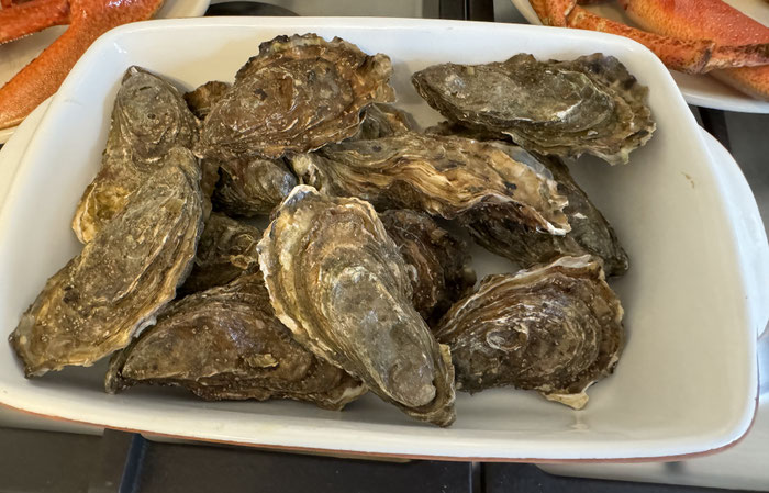 Frische Austern in der Ferienhausküche, Plouhinec, Bucht von Audierne, Bretagne, Ker Armor und Tal Ar Mor