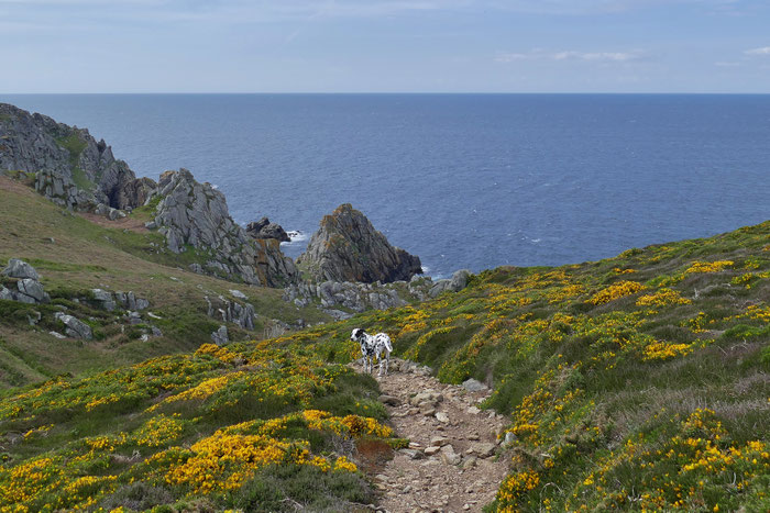 Goulien, Cap Sizun, Bucht von Douarnenez, Wandern auf dem GR34