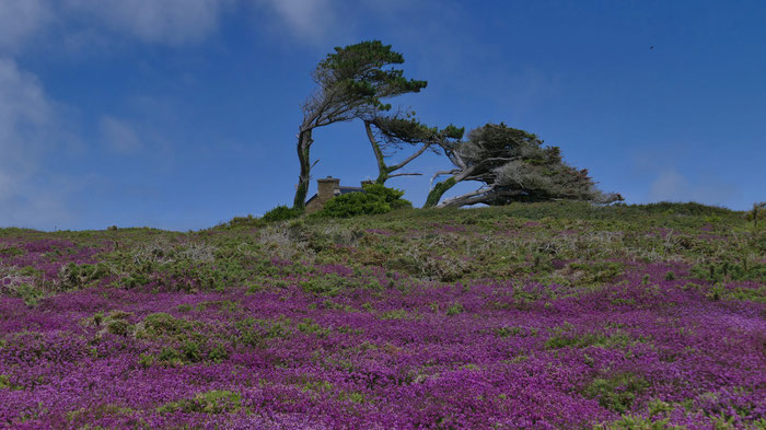 Goulien, Cap Sizun, Ti Félix, Réserve du Cap Sizun, Wanderhütte