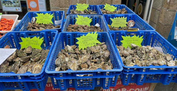 Verschiedene Austernsorten und Austerngrößen auf dem Markt in der Bretagne, Bucht von Audierne