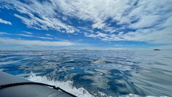 Angeln vom Boot aus, mit Échappée Nautique ab Audierne gar kein Problem, wir helfen unseren Gästen gerne bei der Terminvereinbarung.