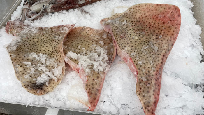 Rochenflügel auf dem Markt von Audierne, Fischhändlier, Bretagne, Bucht von Audierne