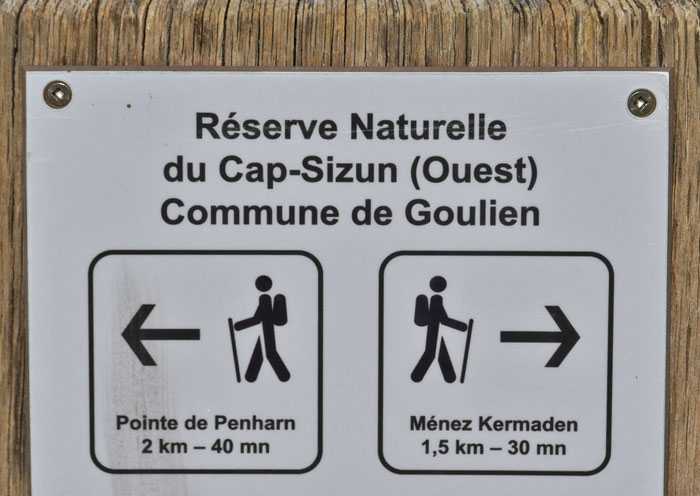 Réserve du Cap Sizun, Goulien, Cap Sizun, Finistère, Vogelschutzgebiet