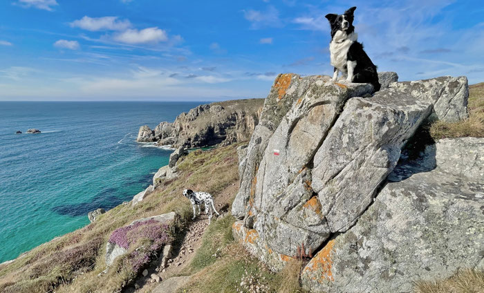 Cap Sizun, Bretagne, Küstenwanderweg, Pointe de Brézellec, Wandern mit Hund
