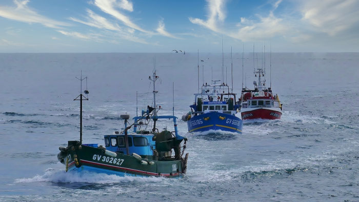 Das Einlaufen der Fischerboote in den Hafen von Guilvinec, Pays Bigouden, Bretagne