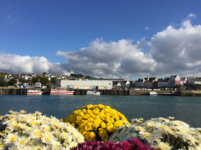 Blick auf den Fischereihafen von Plouhinec, Poulgoazec, von Audierne aus gesehen, Cap Sizun, Bretagne