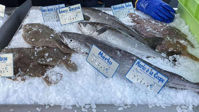 Fisch auf dem Fischstand auf dem Markt in Audierne, Cap Sizun, Bretagne