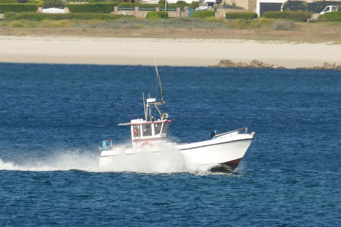 Ligneur, Leinenfischer, Hafen von Audierne, Cap Sizun, Bretagne