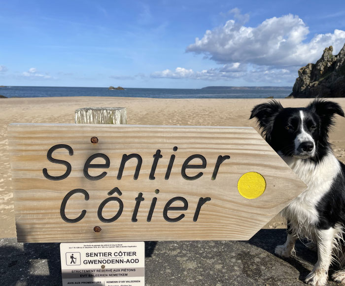 Cap Sizun, Bucht von Audierne, Hunde am Strand, Urlaub mit Hunden in der Bretagne