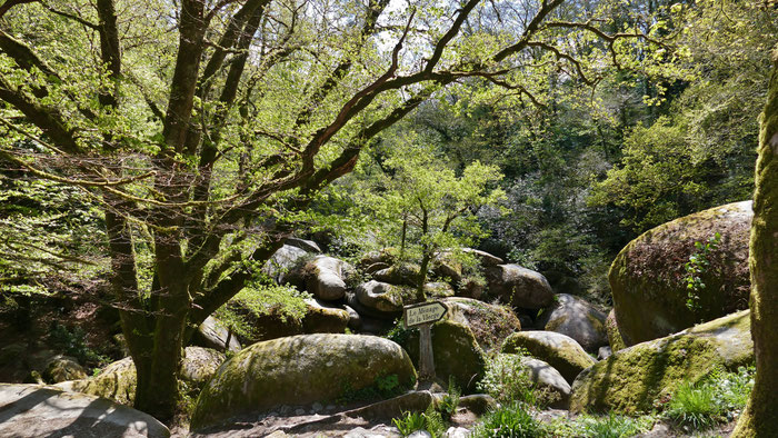 Im Zauberwald von Huelgoat, Bretagne, Frankreich, Granitbrocken