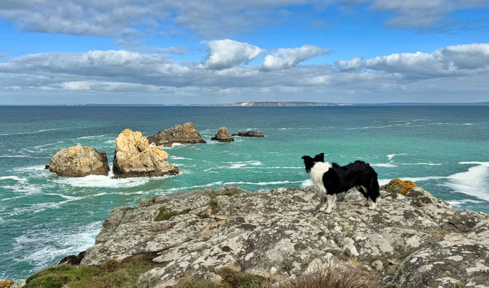 Wanderung auf dem GR34, Cap Sizun, Plage de Lesven zur Réserve du Cap Sizun