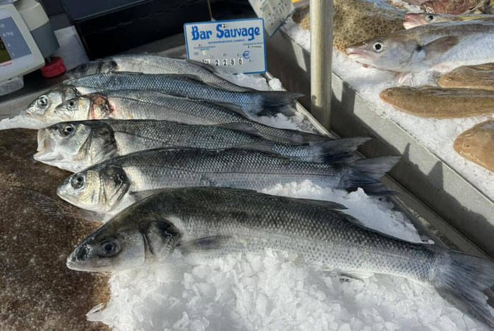 Wolfsbarsch auf dem Markt in Audierne, Wildfang im Raz de Sein, Bretagne, Cap Sizun