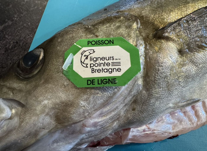 Lieu Jaune de Ligne, Ligneurs de la Pointe de Bretagne, Fisch in Audierne, Cap Sizun