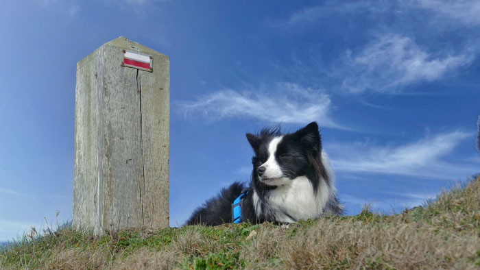 Küstenwanderweg GR34 mit Hund, Cap Sizun, Bucht von Audierne