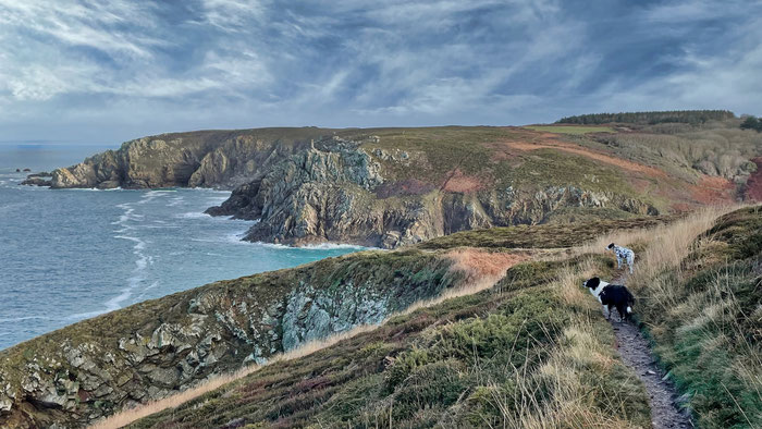 Wandern mit Hunden auf dem Küstenwanderweg GR34, Cap Sizun, Pors Théolen, Finistère