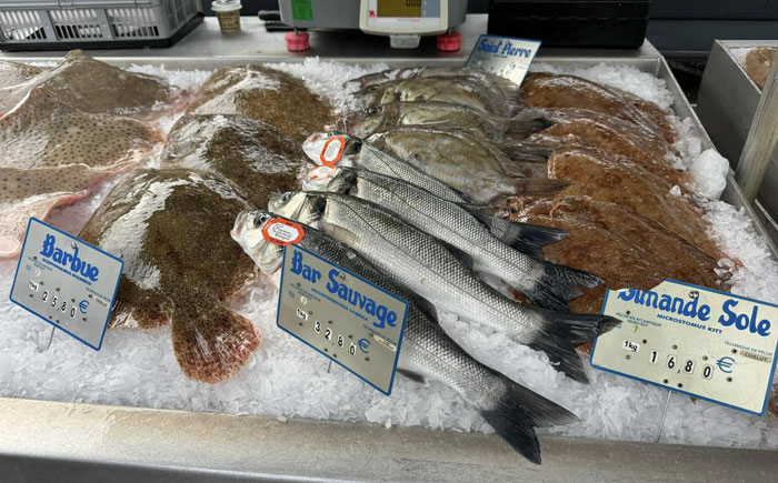 Wolfsbarsch, Glattbutt, Limande und Petersfisch auf dem Markt in Audierne, Cap Sizun