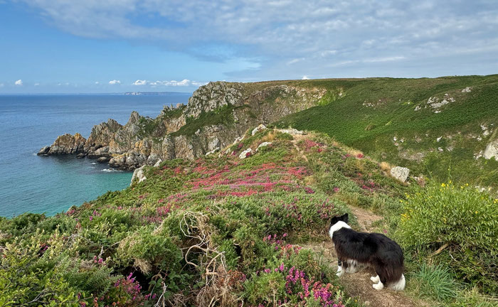 Wandern am Cap Sizun, Goulien, Réserve du Cap Sizun